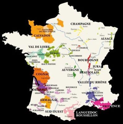 AOC:法國(guó)葡萄酒的成功密碼_經(jīng)濟(jì)臺(tái)_中國(guó)網(wǎng)絡(luò)電視臺(tái)