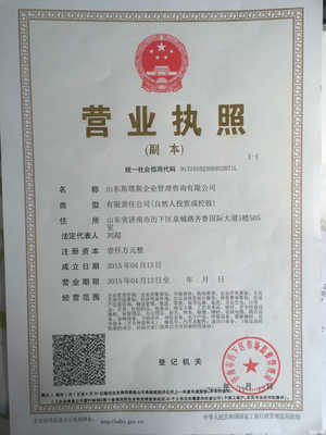 山東斯塔斯企業管理咨詢 專業賦能，引領企業發展新篇章